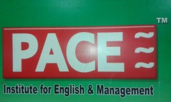 Pace Institute logo 